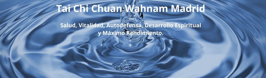 Tai Chi Chuan Wahnam Madrid (1)
